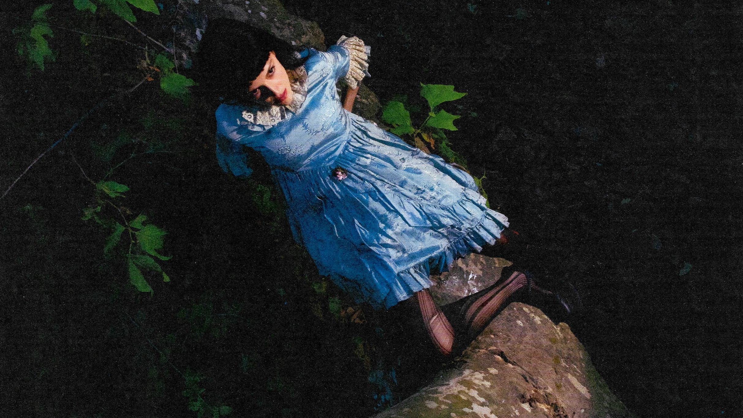Cover for Not For Radio - A Summer In The Forest: North America Tour