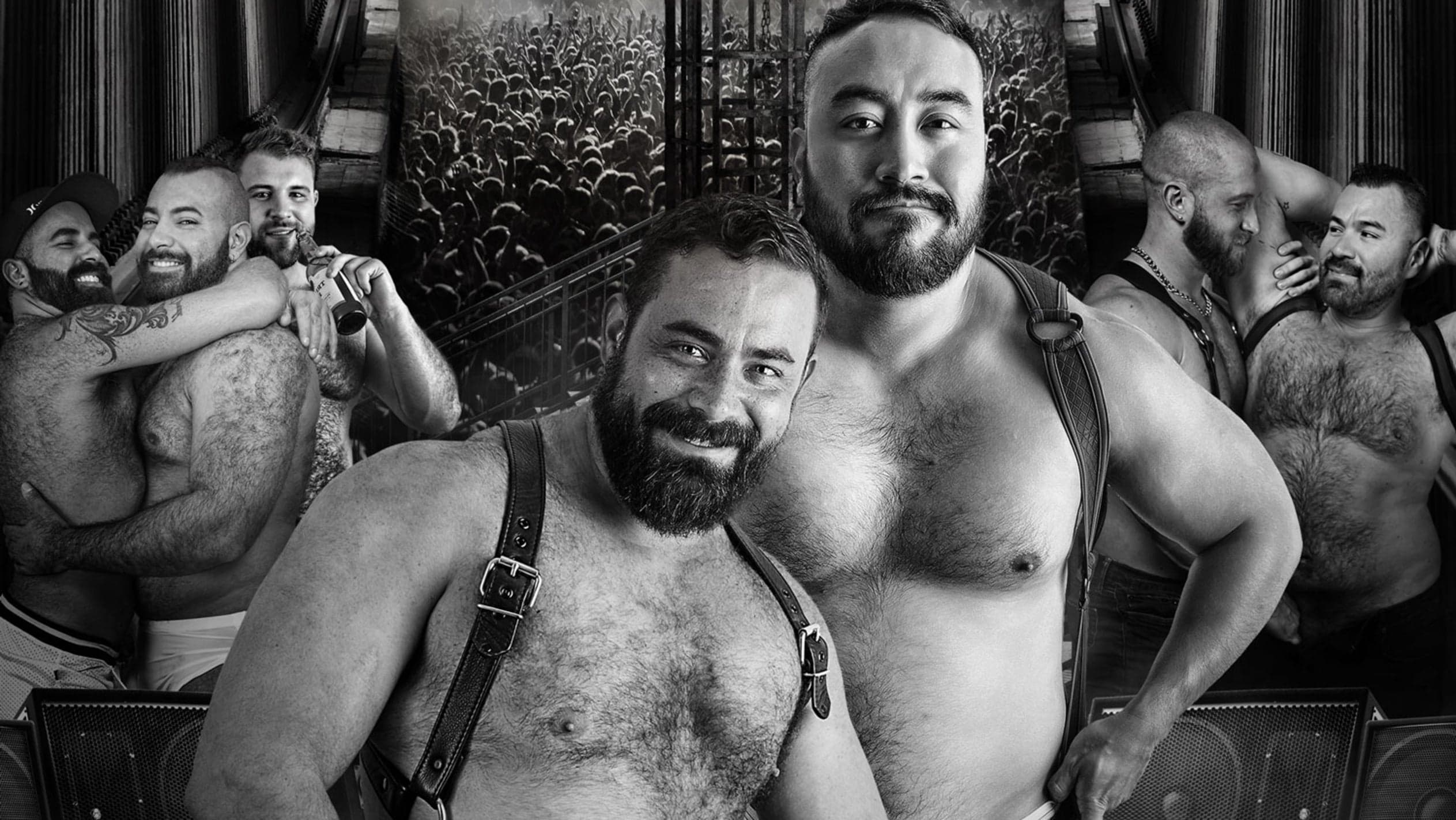 Cover for Bearracuda