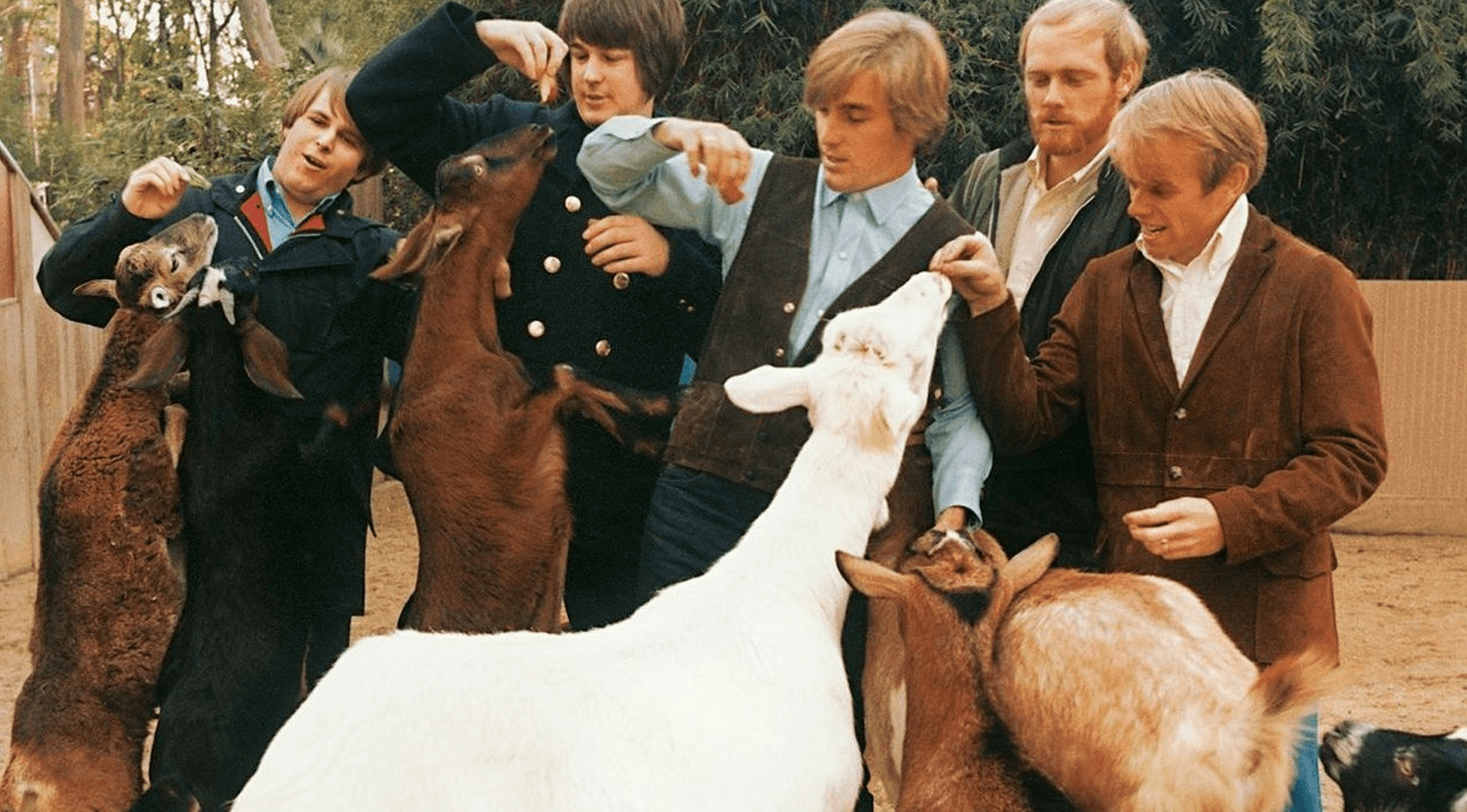 Cover for PET SOUNDS - Tribute To The Beach Boys