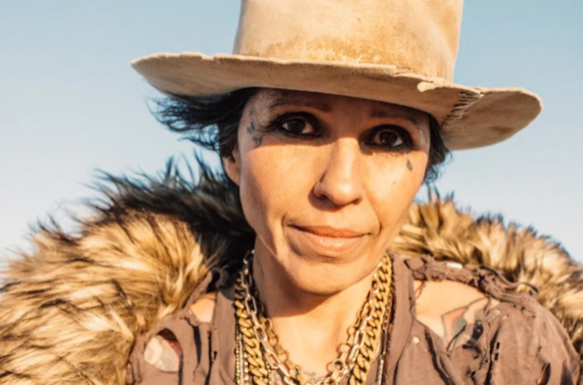 Cover for Reel To Reel: Linda Perry: Let It Die Here +