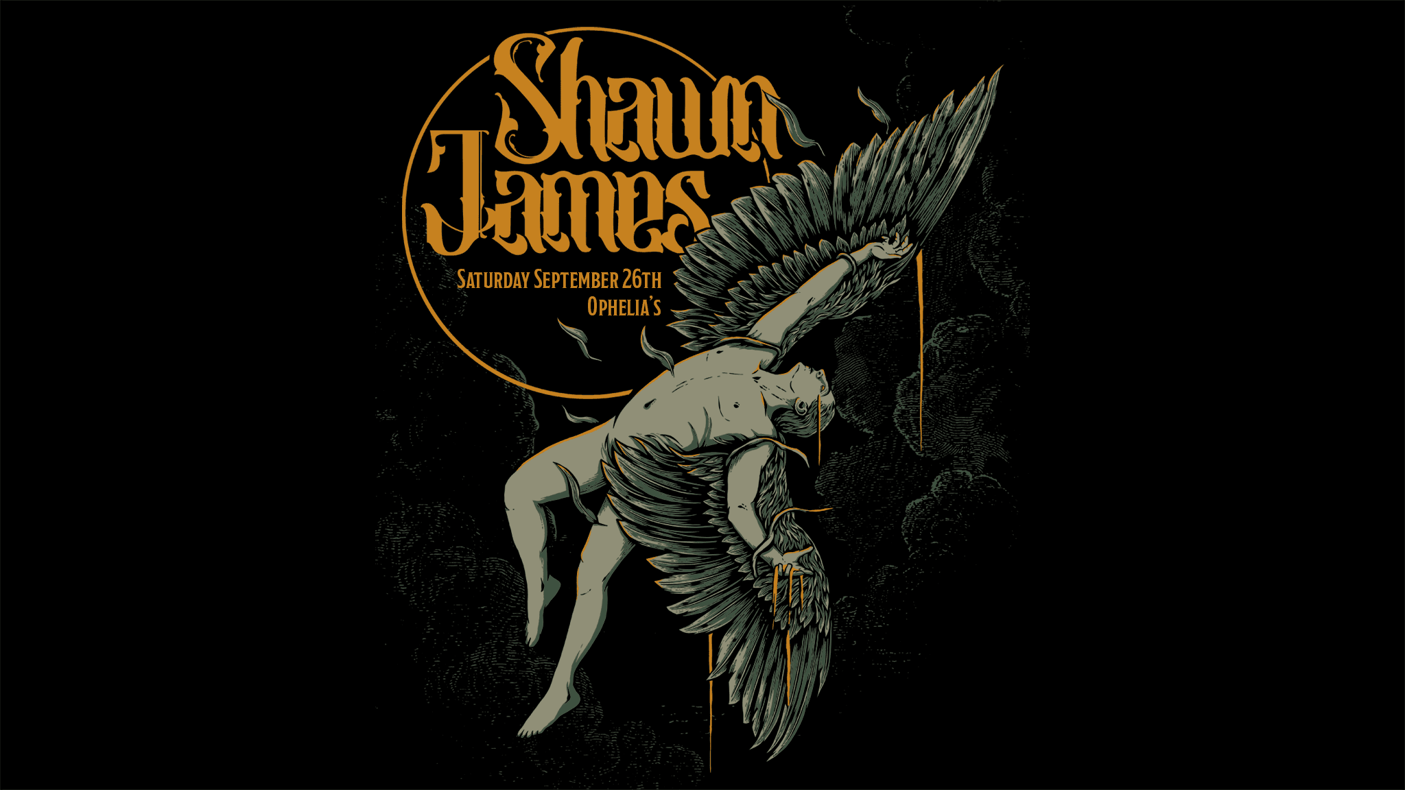 Cover for SHAWN JAMES "FLEW TOO CLOSE TO THE SUN" TOUR