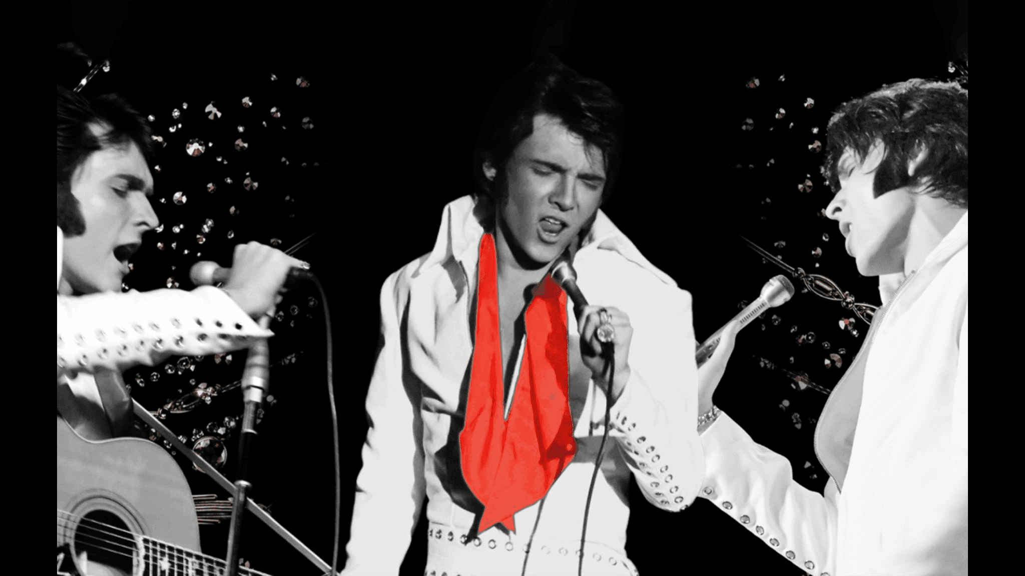 Cover for ELVIS: In Person - Starring Matt Stone